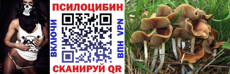 Псилоцибиновые грибы ЛСД  Купить  Очёр 